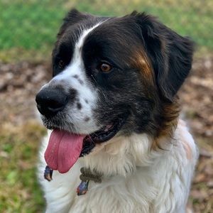 Meet your Posher, Julianna